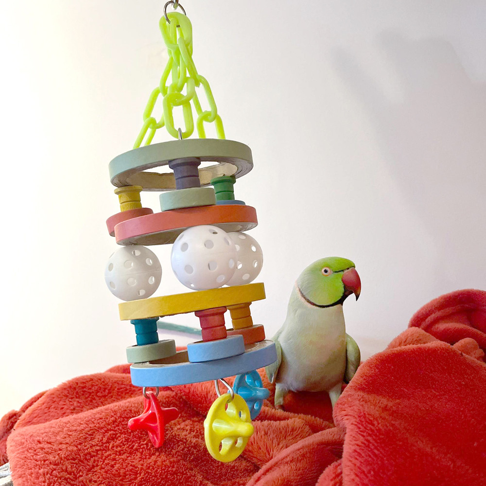 An image of Bagel Barrel Parrot Toy