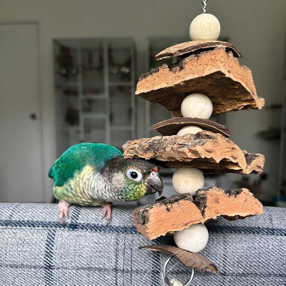 An image of Natural Cork Stacker Parrot Toy