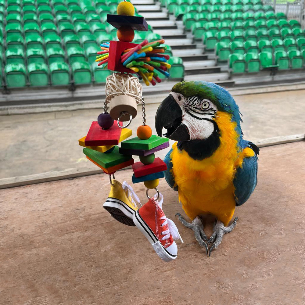 An image of Sneakers Scarecrow Parrot Toy