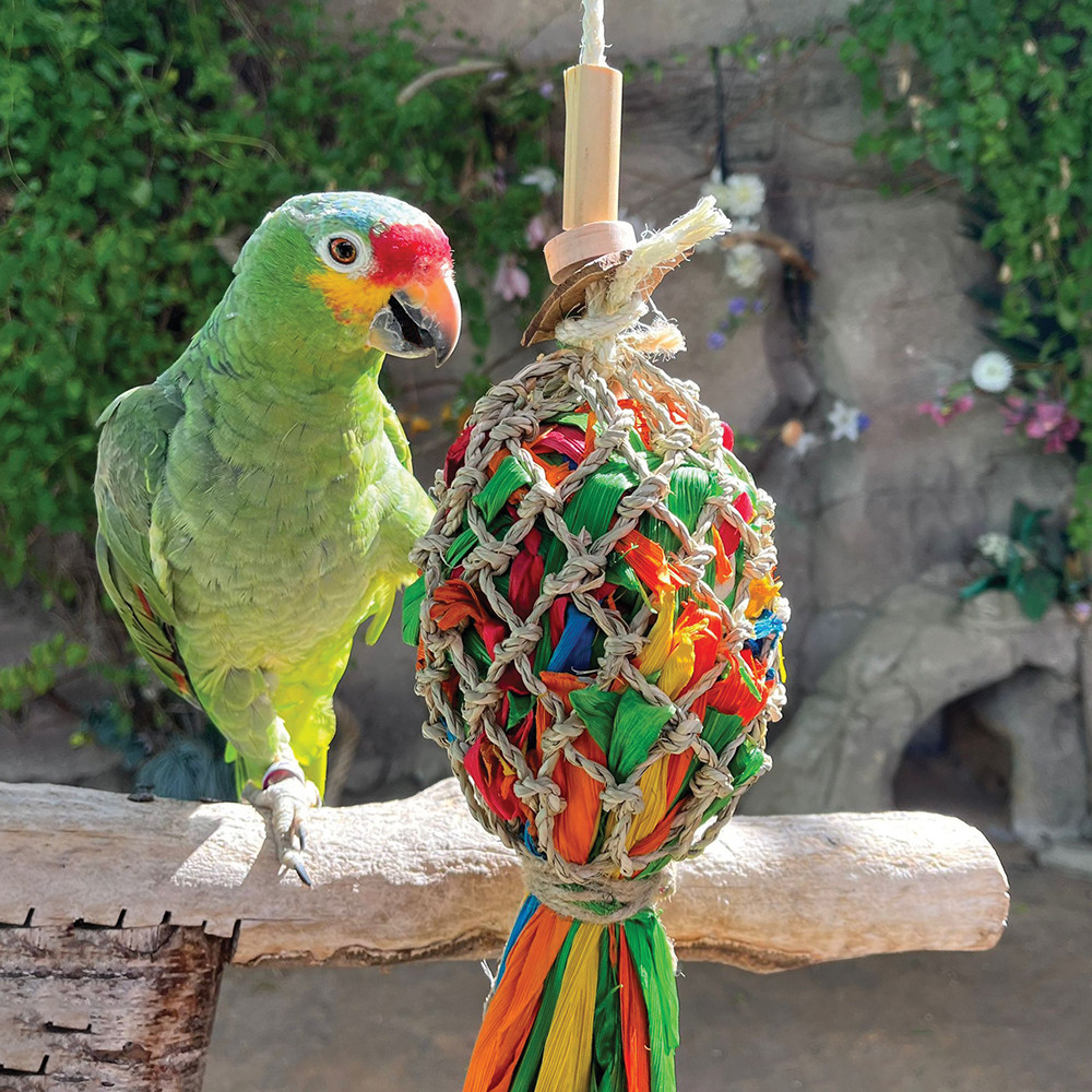 An image of Catch of the Day Parrot Toy - Small