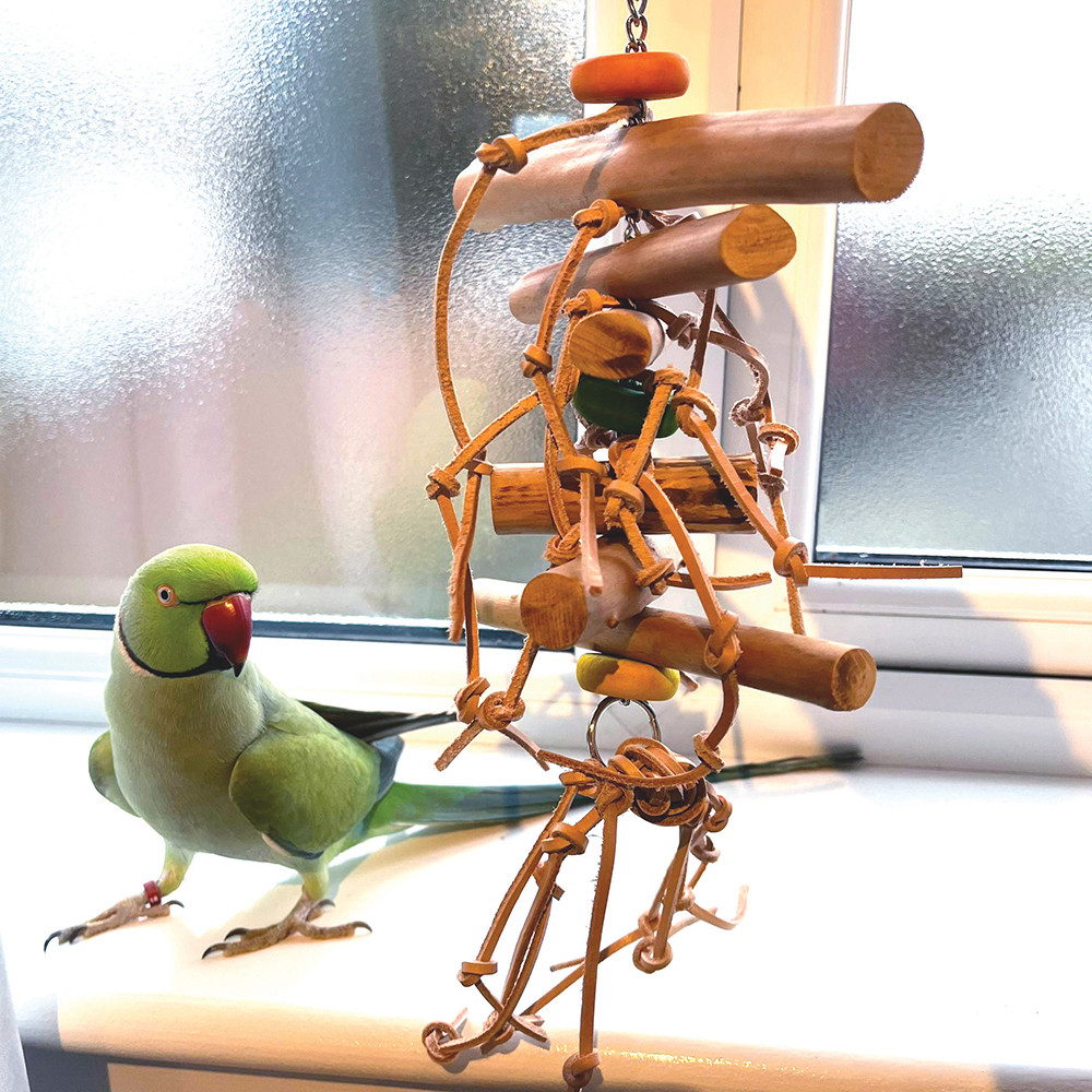 An image of Wood Roll & Leather Knots Stacker Parrot Toy