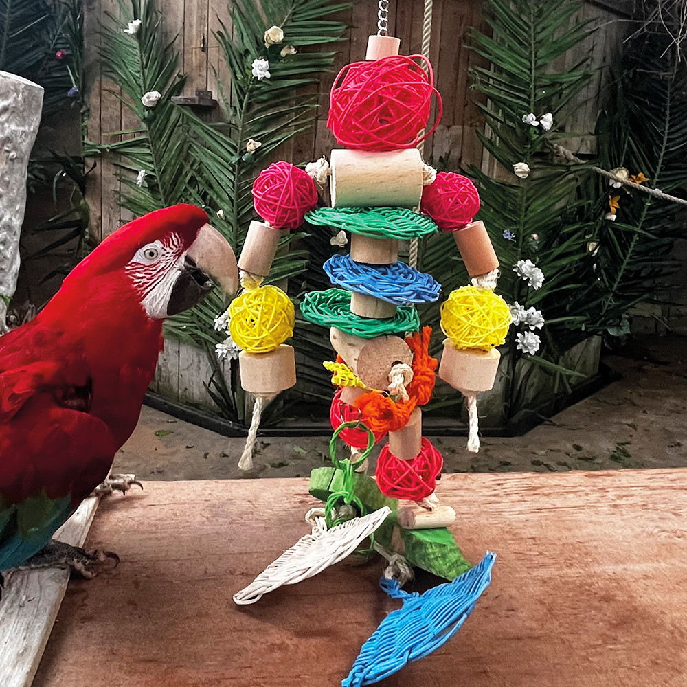 An image of Robot Parrot Toy