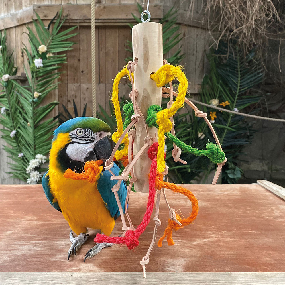 An image of Preening Trunk Parrot Toy