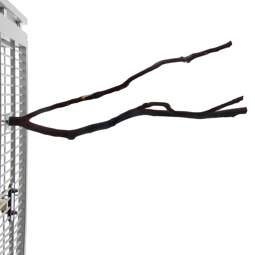 An image of Manzanita Multi Perch - Small