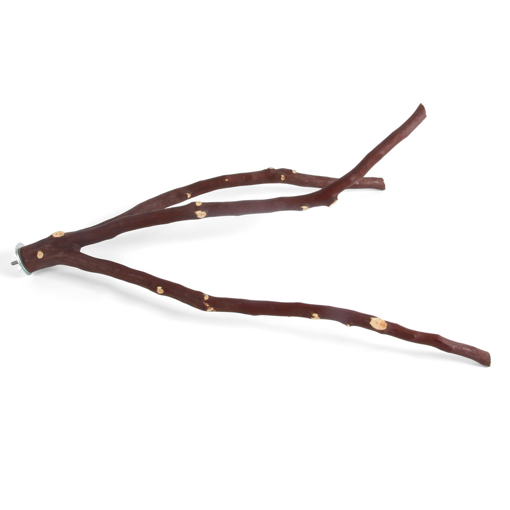 An image of Manzanita Multi Perch - Medium
