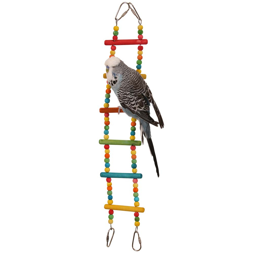 An image of Coloured Bendy Ladder Parrot Climbing Toy