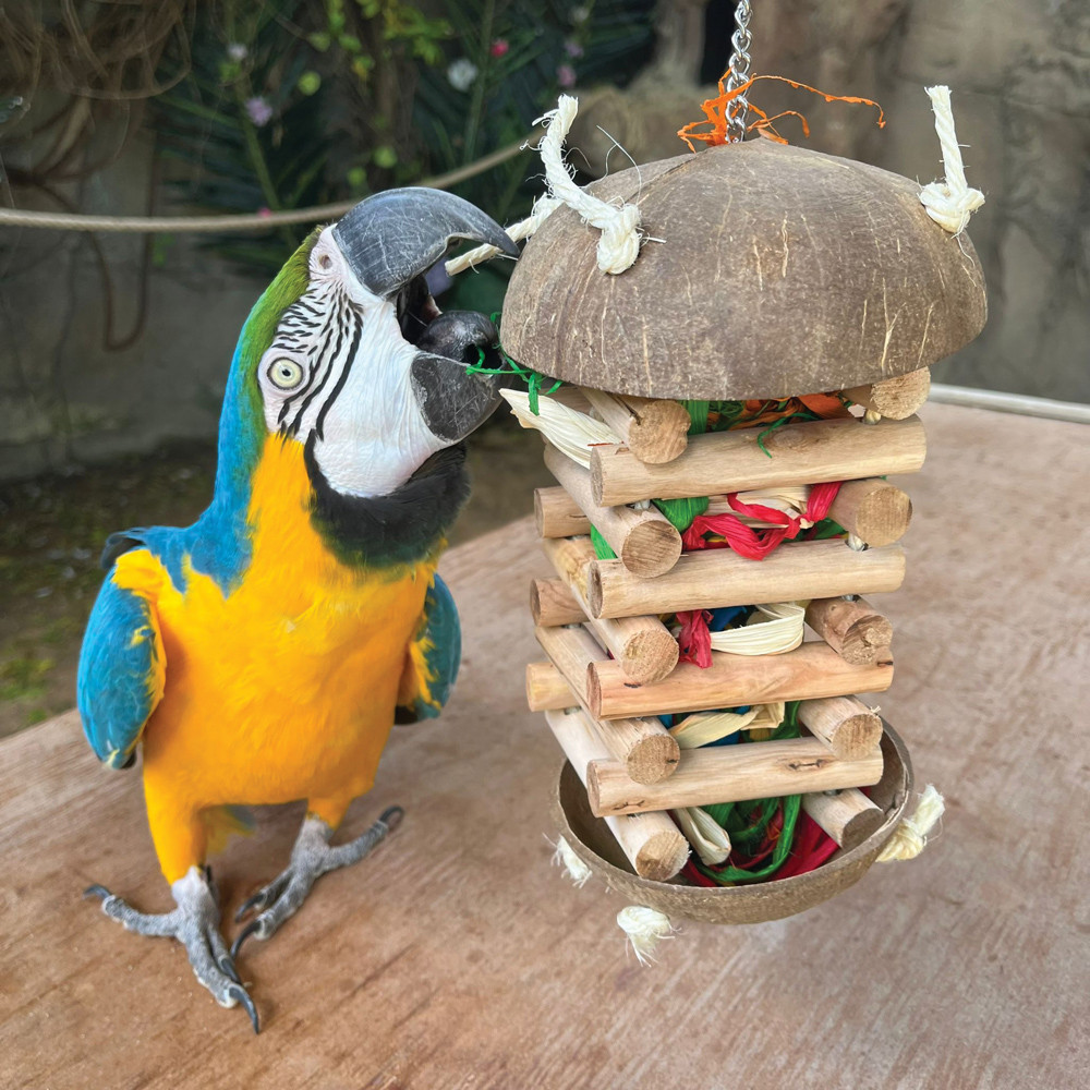 An image of Foraging Hut Parrot Toy - Large