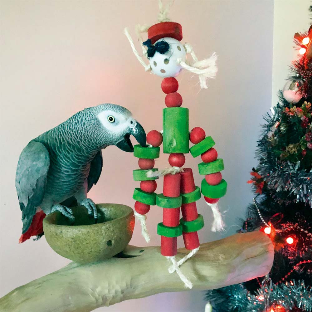 An image of Father Christmas Wood and Rope Parrot Toy