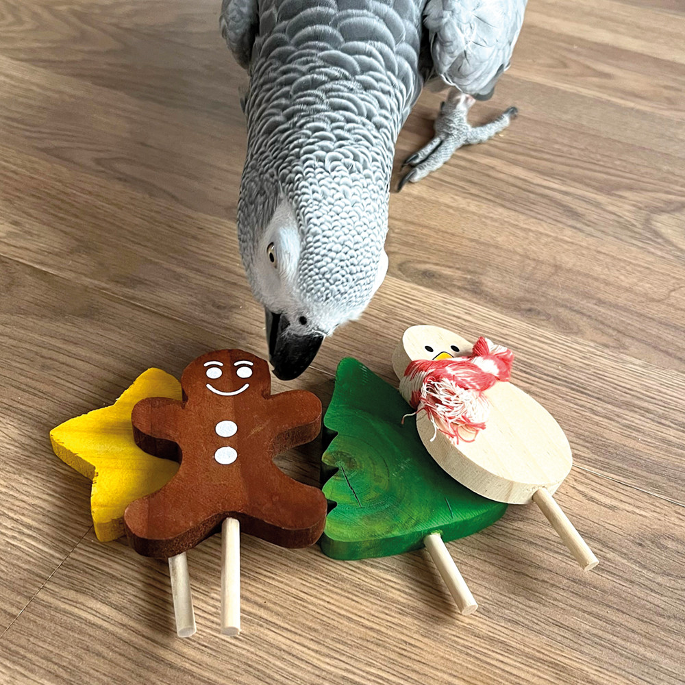 An image of Large Festive Lollipop Parrot Foot Toys - Pack of 4