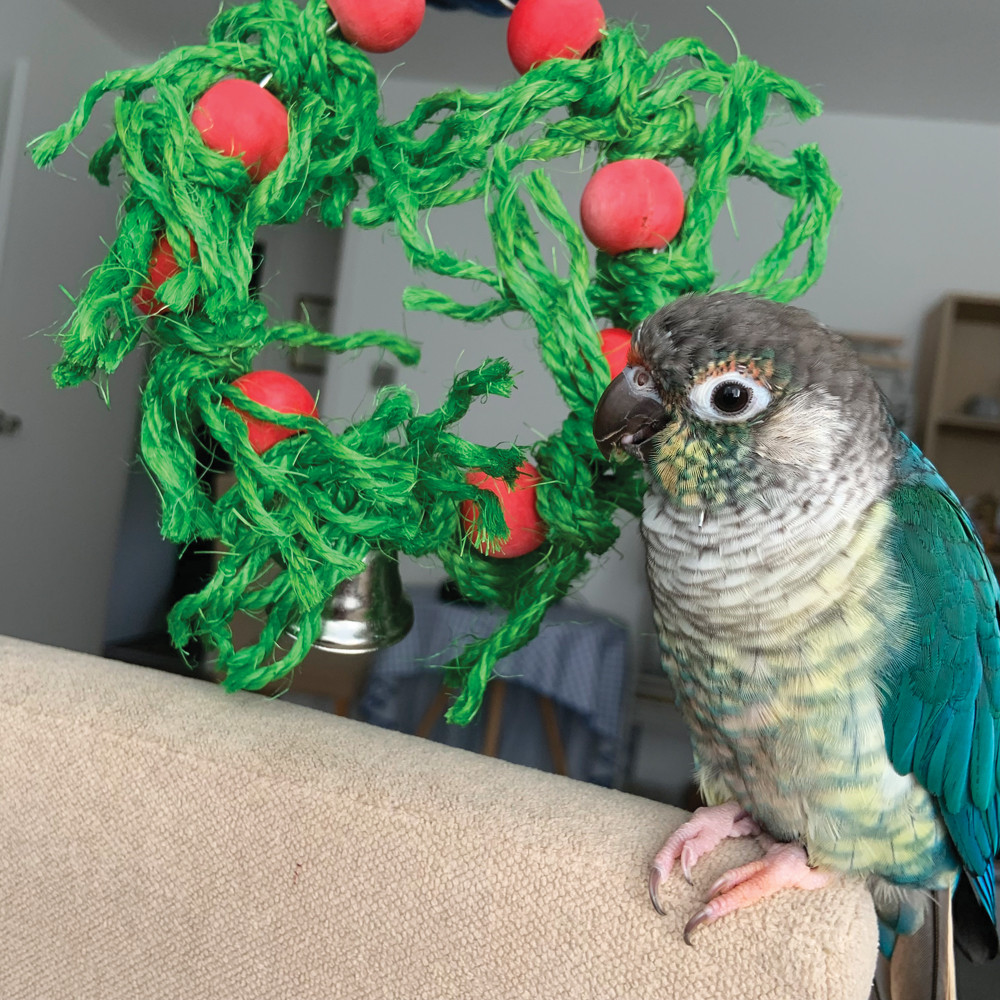 An image of Sisal Christmas Wreath Parrot Toy