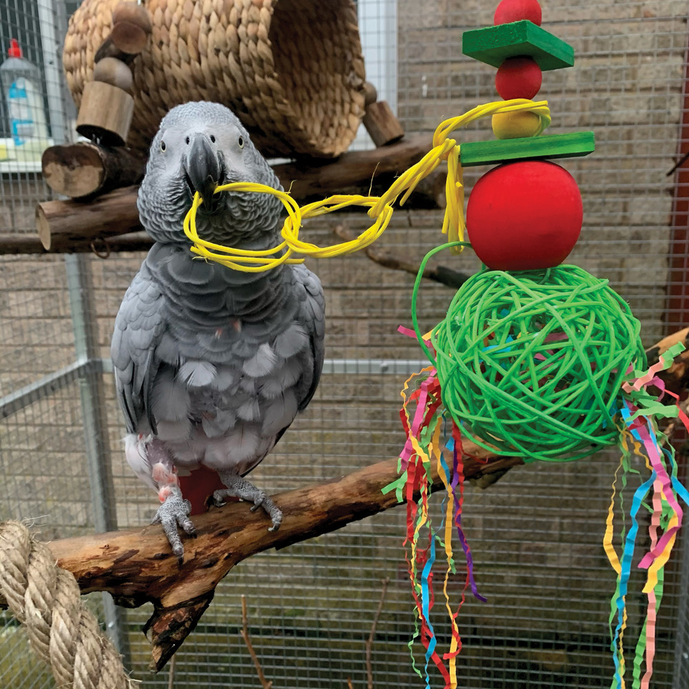 An image of Festive Mega Munch Ball Christmas Parrot Toy