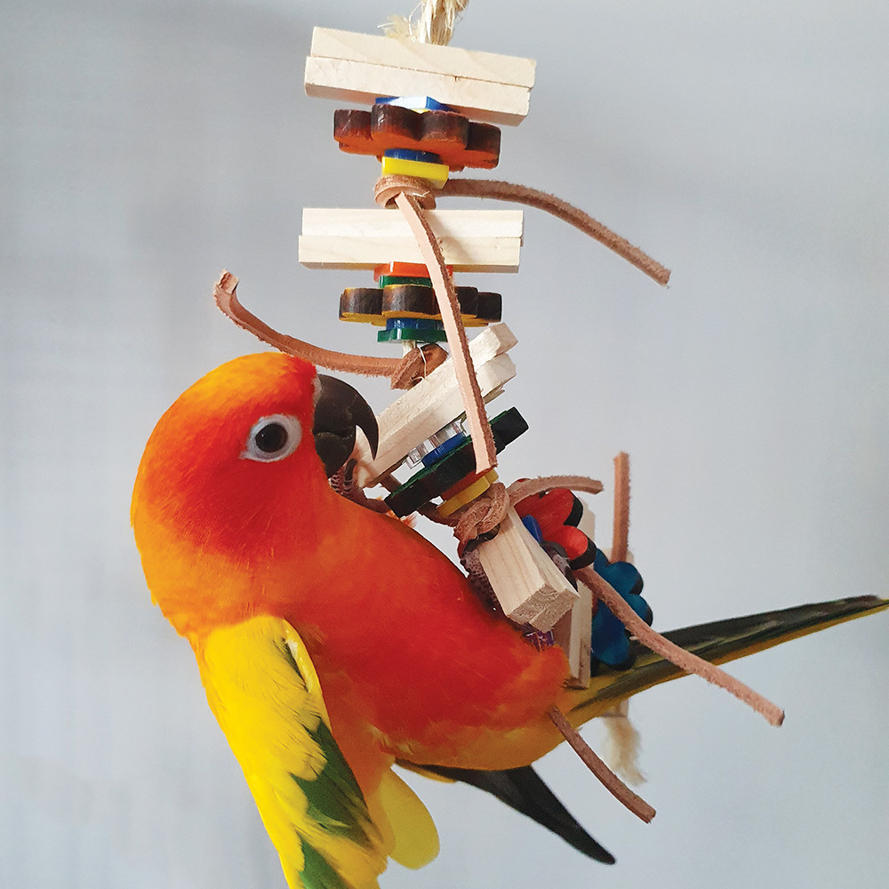 An image of Daisy Wood & Leather Parrot Toy