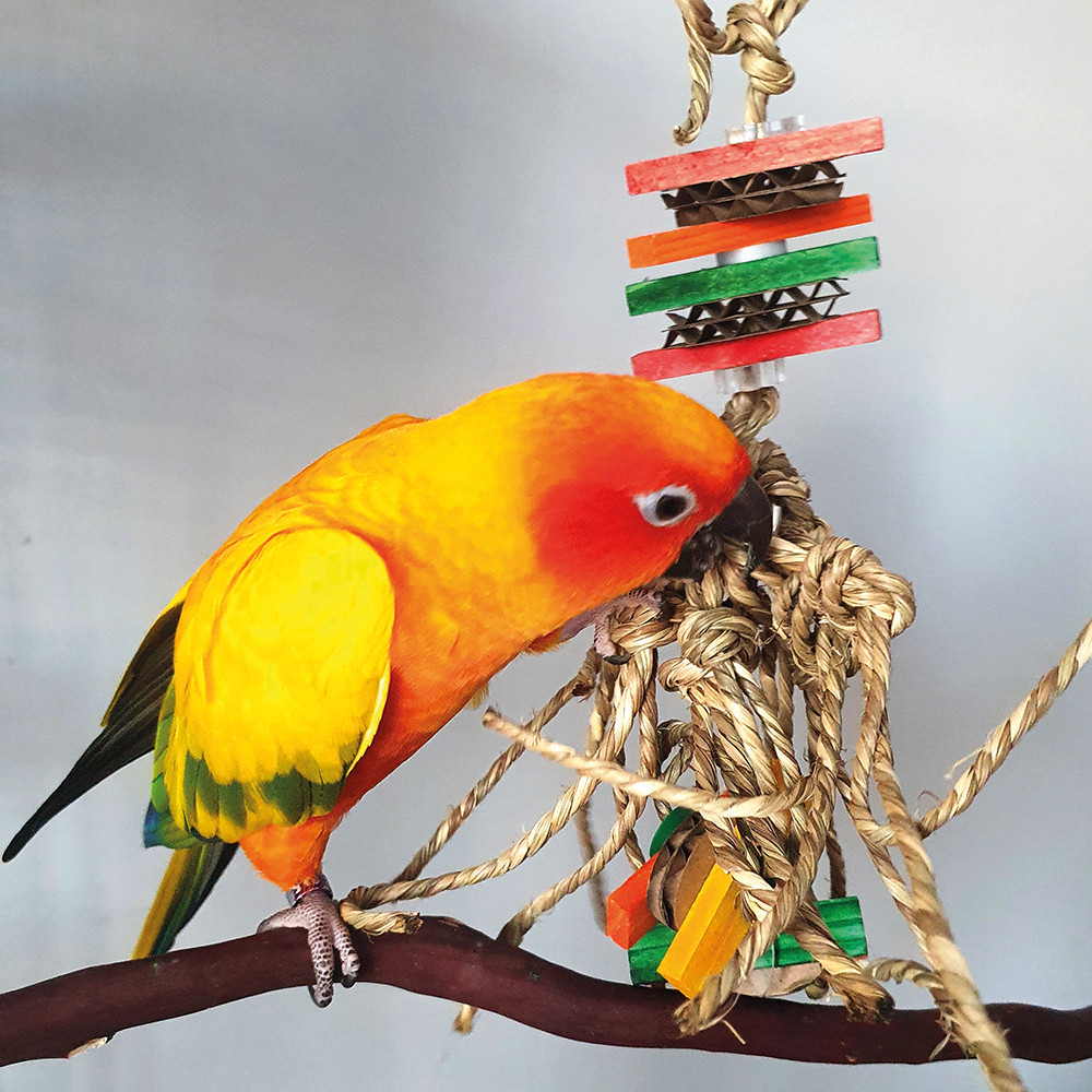 An image of In Orbit Parrot Toy