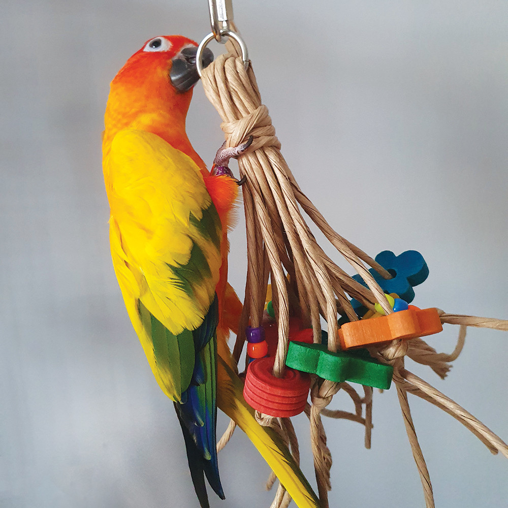 An image of Shredding Legs Paper Rope Parrot Toy - Small