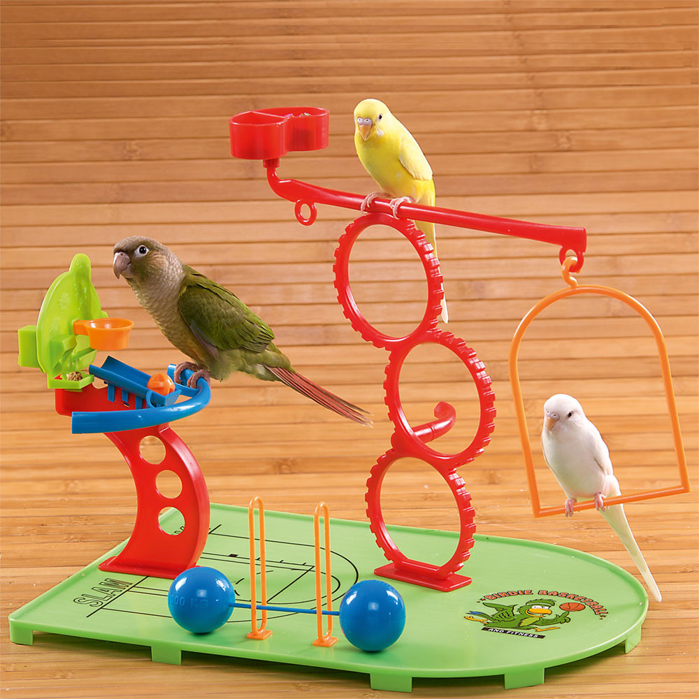 An image of Birdie Basketball Gym - Activity Centre for Smaller Parrots