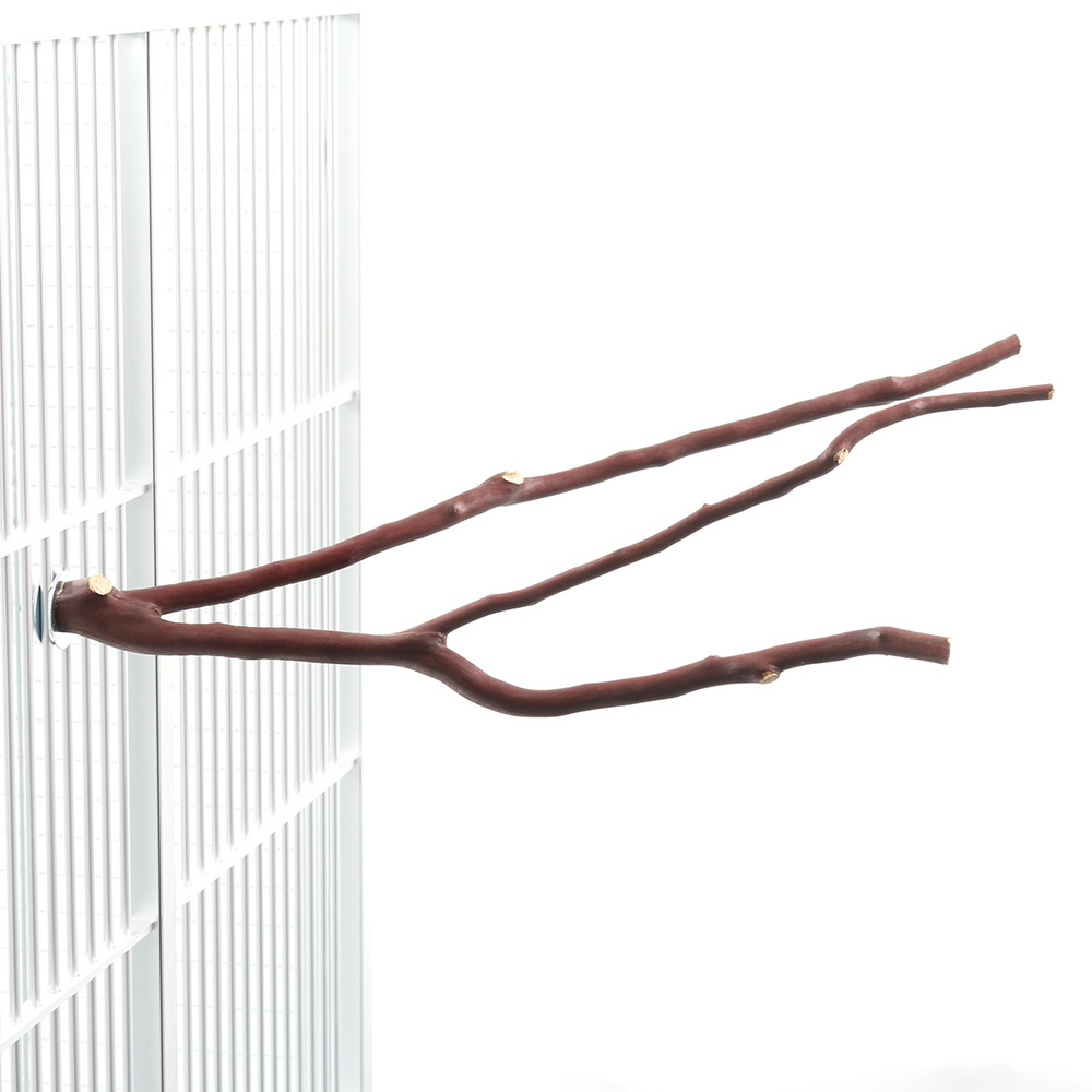 An image of Manzanita Multi Perch - Mini
