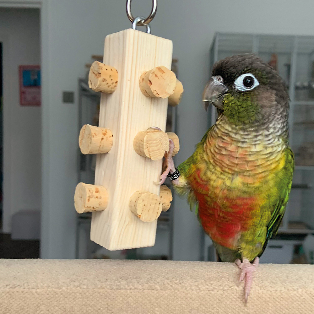 An image of Cork Master Parrot Toy Small