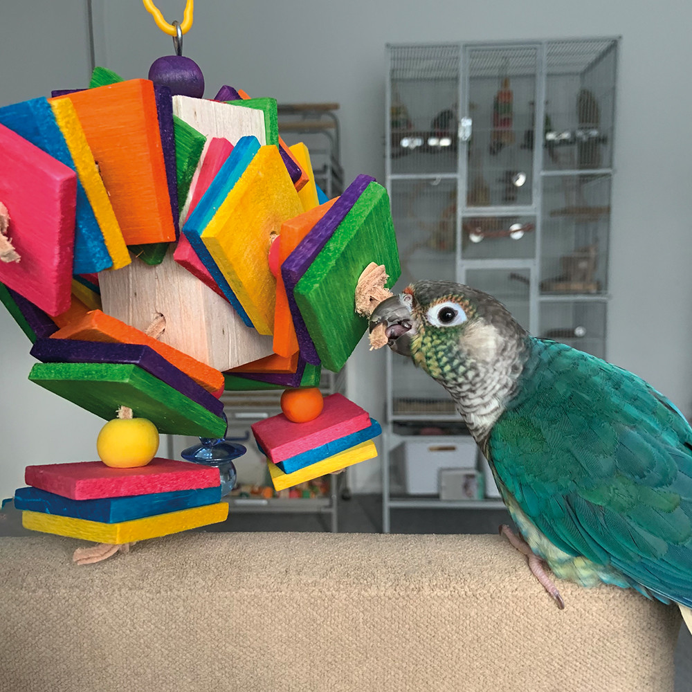 An image of Balsa Block Buster Chunky Chewable Parrot Toy