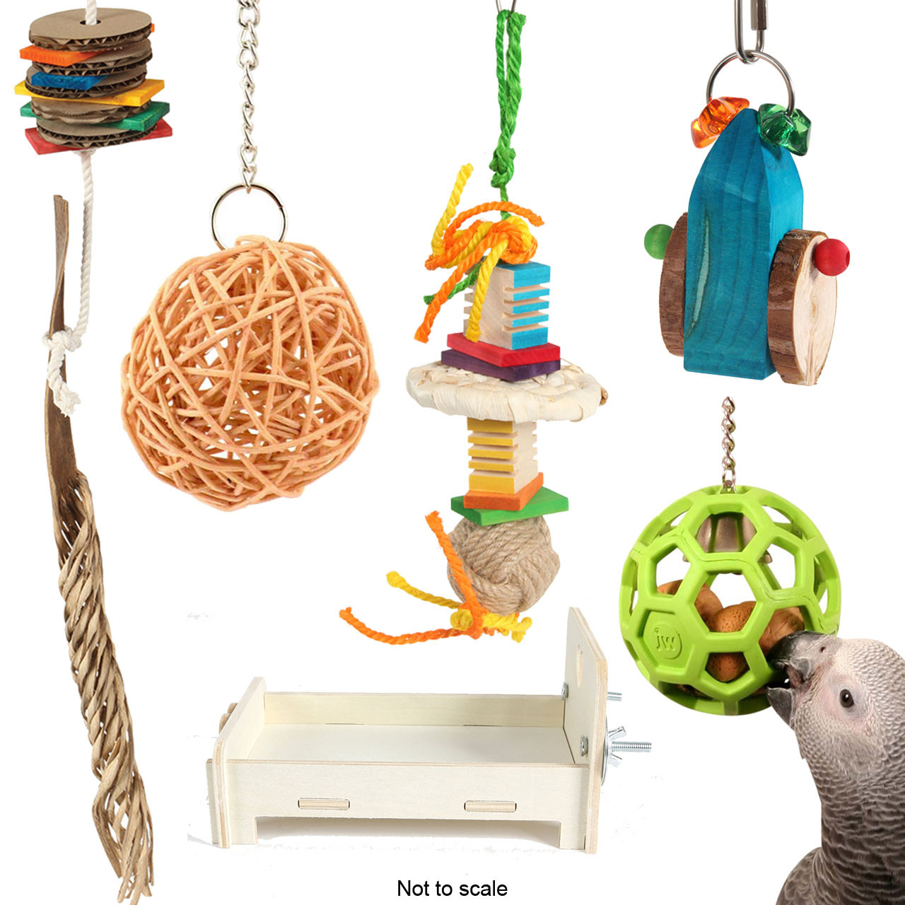 An image of Northern Parrots African Grey Parrot Foraging Toy Bundle