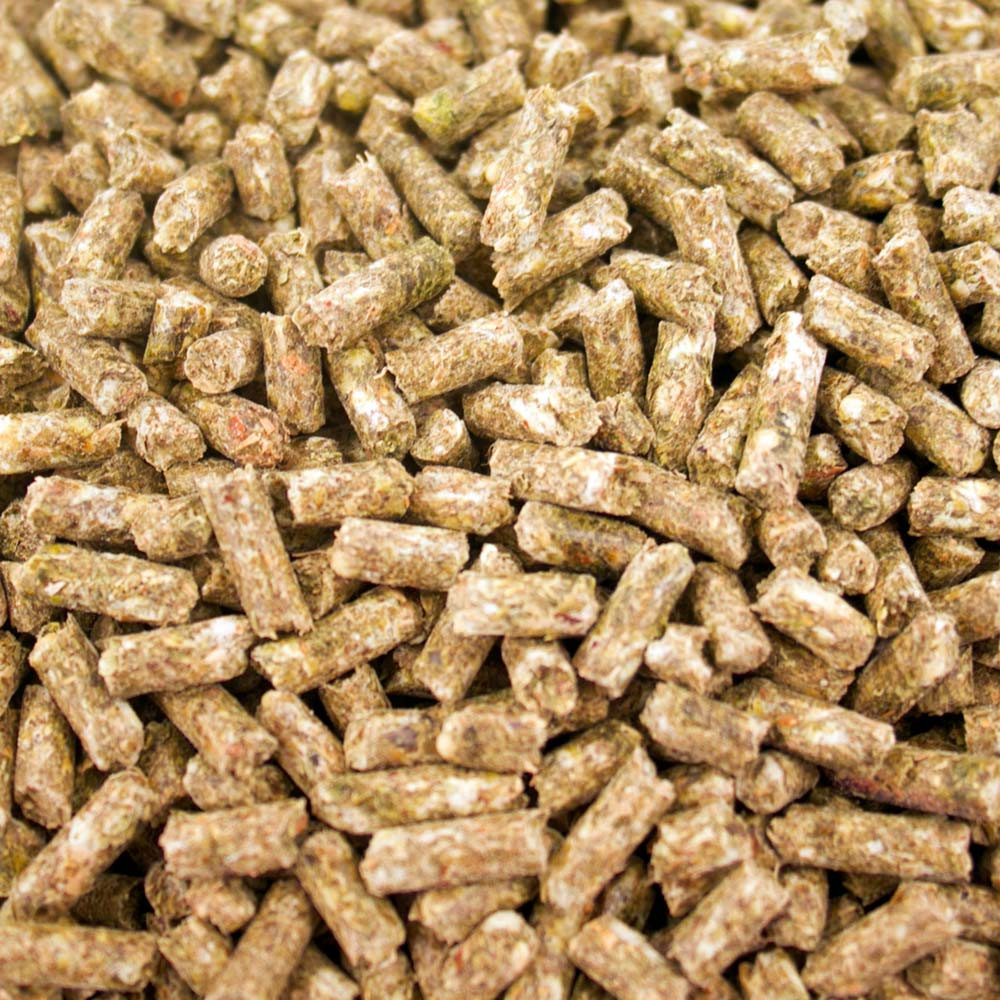 An image of TOP's Organic Parrot Food Small Pellets 10lb
