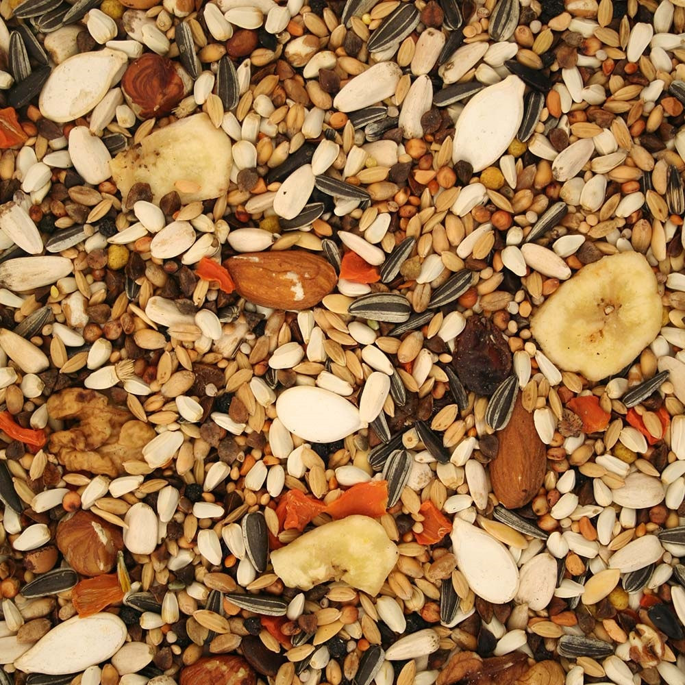 An image of Parrot Premium Professional Parrot Food 2.5Kg High Quality Seed Mix
