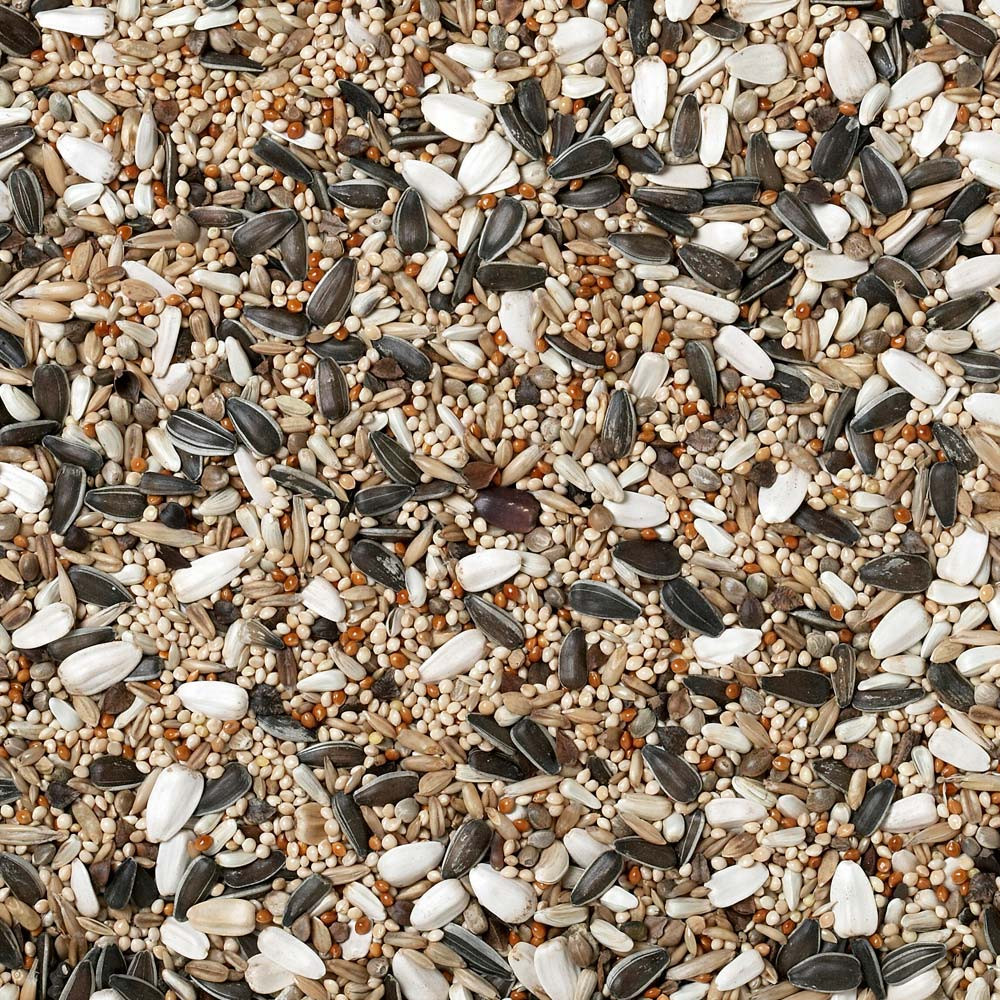 An image of Johnston and Jeff Cockatiel and Big Parakeet Seed 1Kg