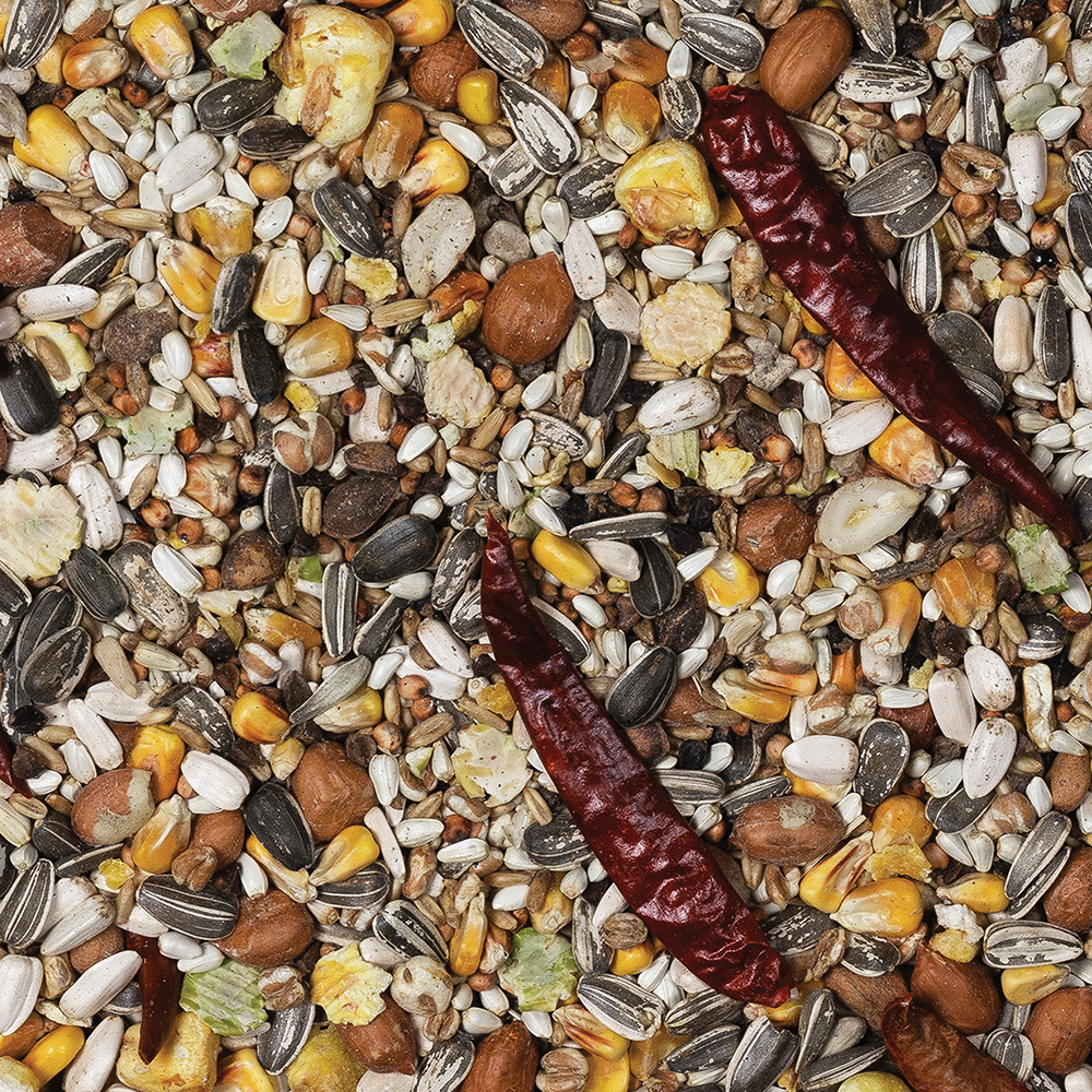 An image of Johnston and Jeff Number 1 Parrot Food 12.75Kg