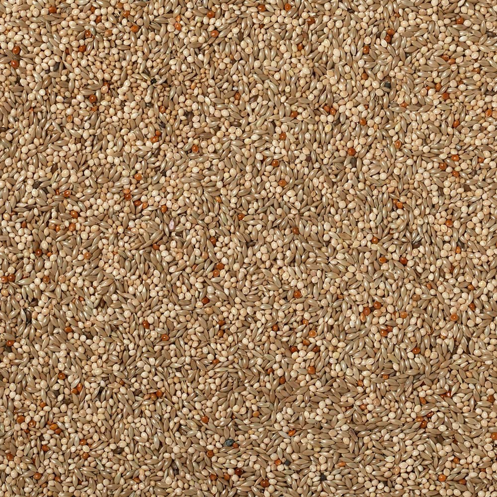 An image of Johnston and Jeff Expert Budgie Seed 20Kg