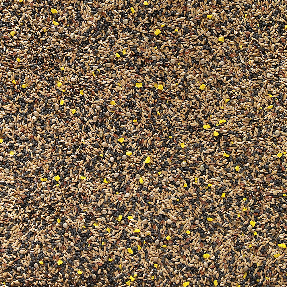 An image of Johnston and Jeff Favourite Mixed Canary Seed 1Kg