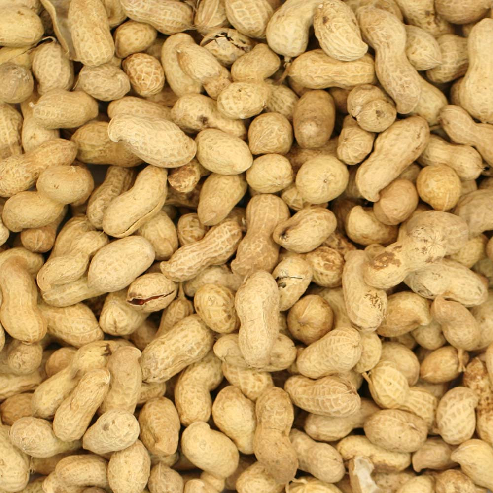 An image of Johnston and Jeff Monkey Nuts for Wild Birds 650g