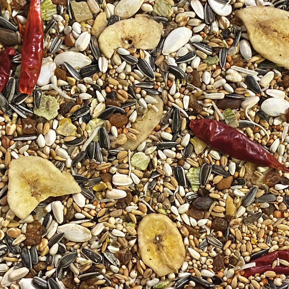 An image of Johnston and Jeff Conure Mix 2kg