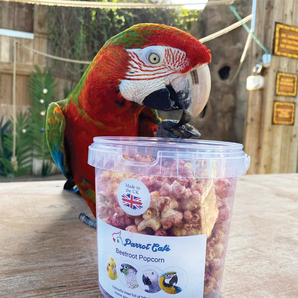 An image of Parrot Cafe Parrot Popcorn Beetroot 40g