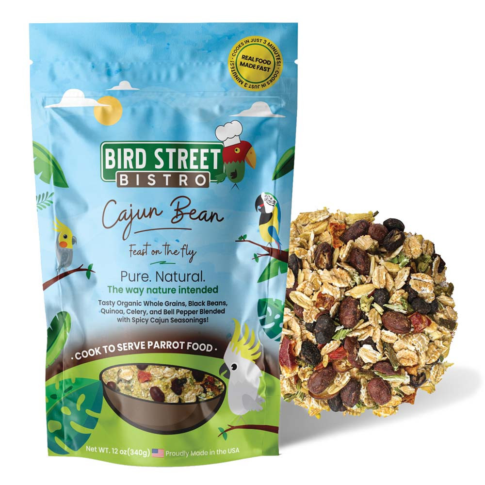 An image of Bird Street Bistro Cajun Bean Feast On The Fly Parrot Food 12oz