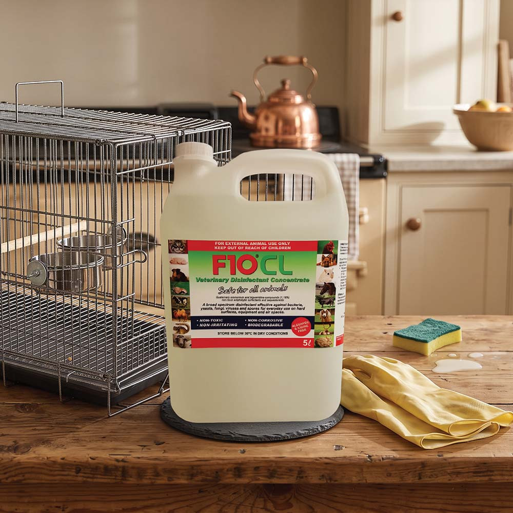 An image of F10 CL Avian Disinfectant Concentrate 5 Litre