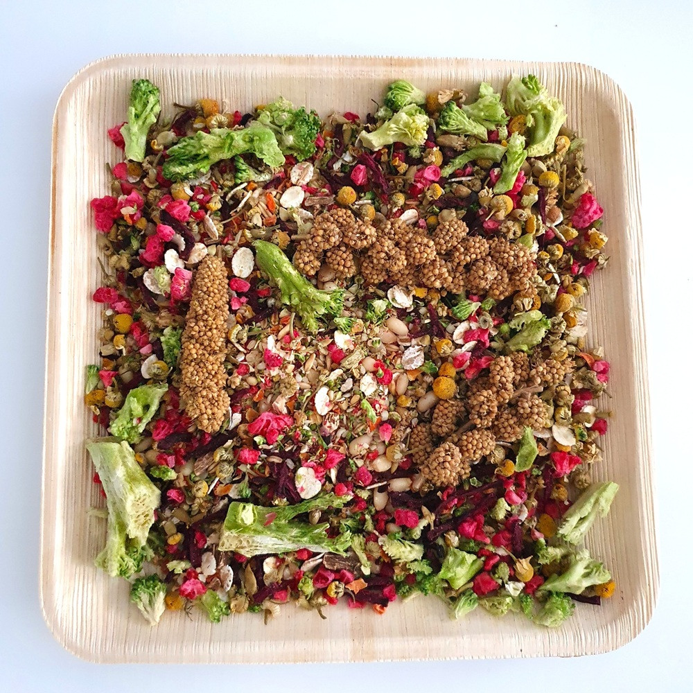 An image of Polly's Naturals Forage Feast Small Parrots 100g