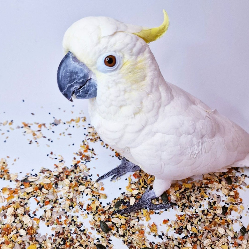 An image of Polly's Organic Chop Sprinkle 400g Meal Topper