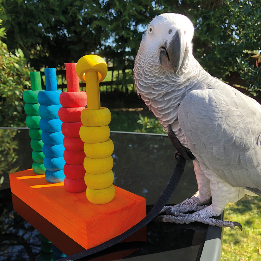 An image of The Teacher Toy Activity Parrot Toy