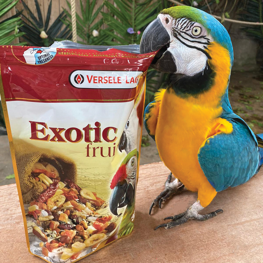 An image of Prestige Exotic Fruit Mix Parrot Treat 15kg