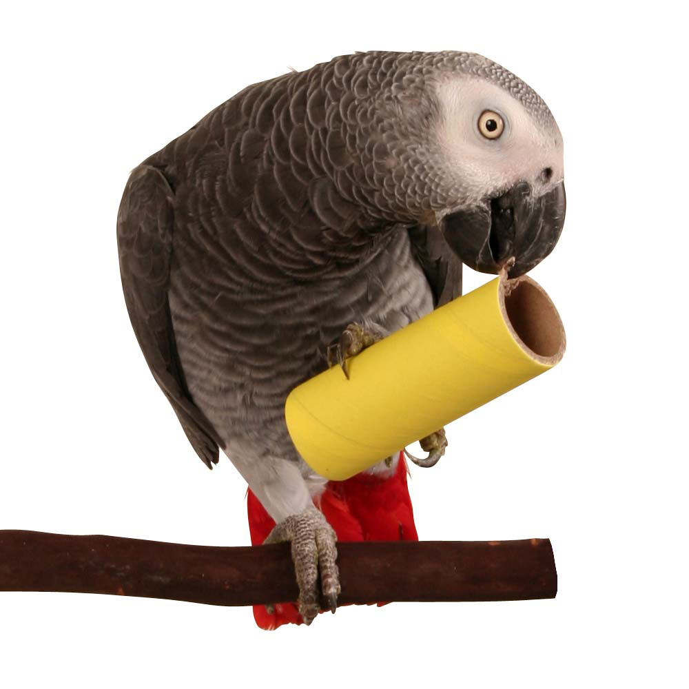 An image of Parrot Pipes Large Chewable Parrot Toy Pack of 10