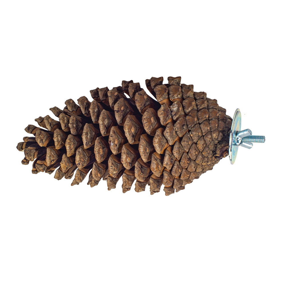 An image of Pine Cone Perch and Party Fun Foraging Parrot Perch
