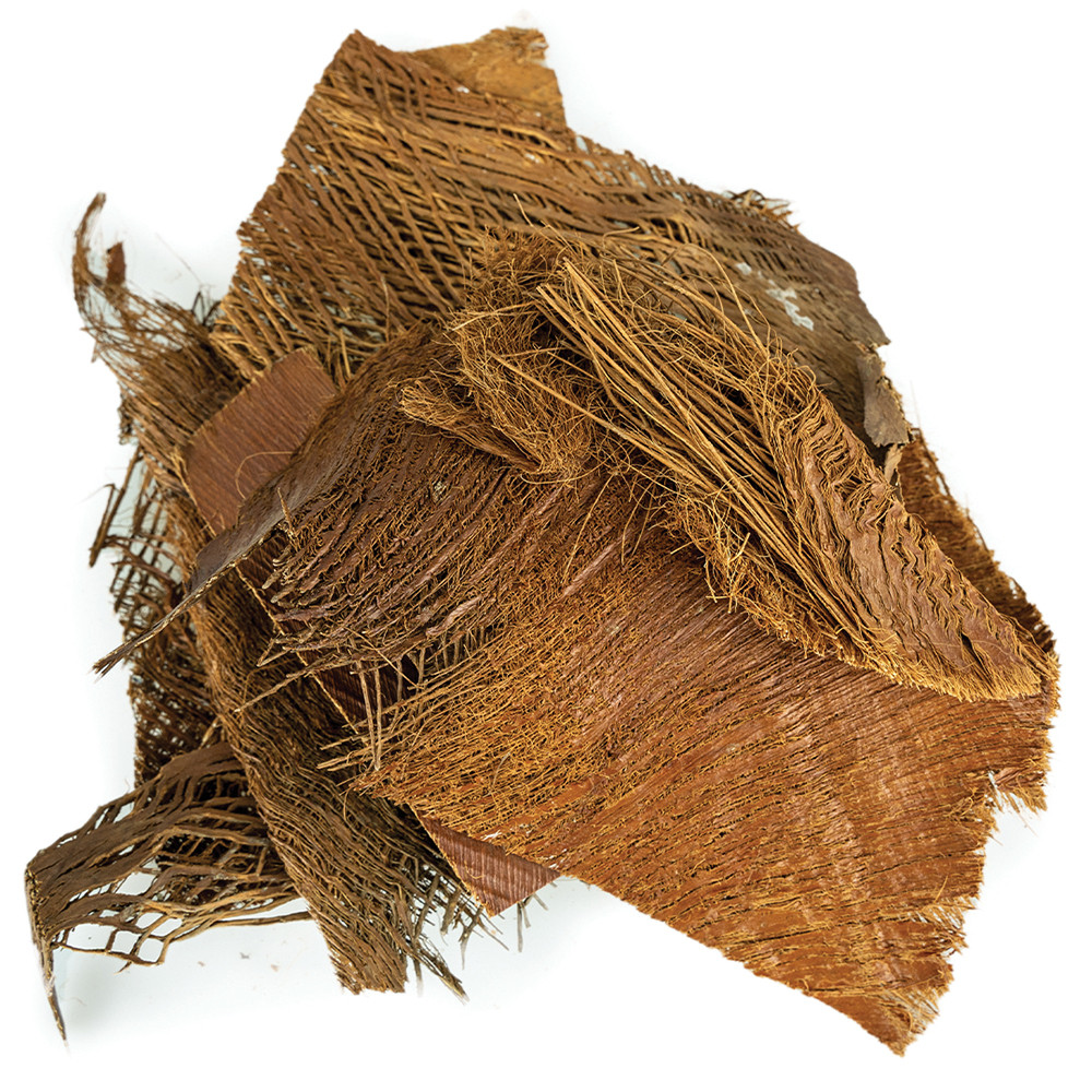 An image of Natural Palm Bark Enrichment Chews for Parrots