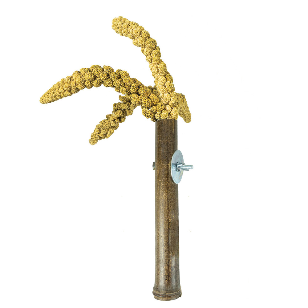 An image of Grass and Millet Treat Holder for Parrot Cages