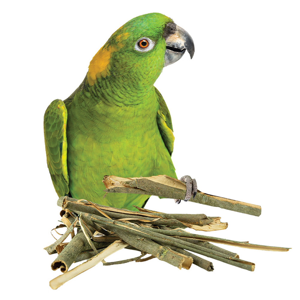 An image of Natural Willow Enrichment Chews for Parrots 100g