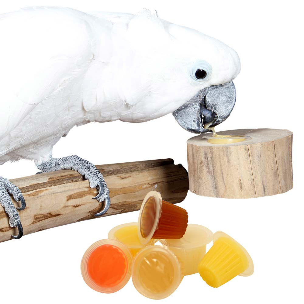 An image of Pack of 6 Assorted Jelly Cups and Holder Bundle