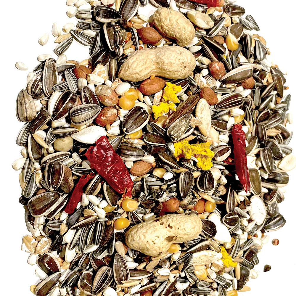 An image of Colonels Feast Seed Mix Parrot Food 12.5kg