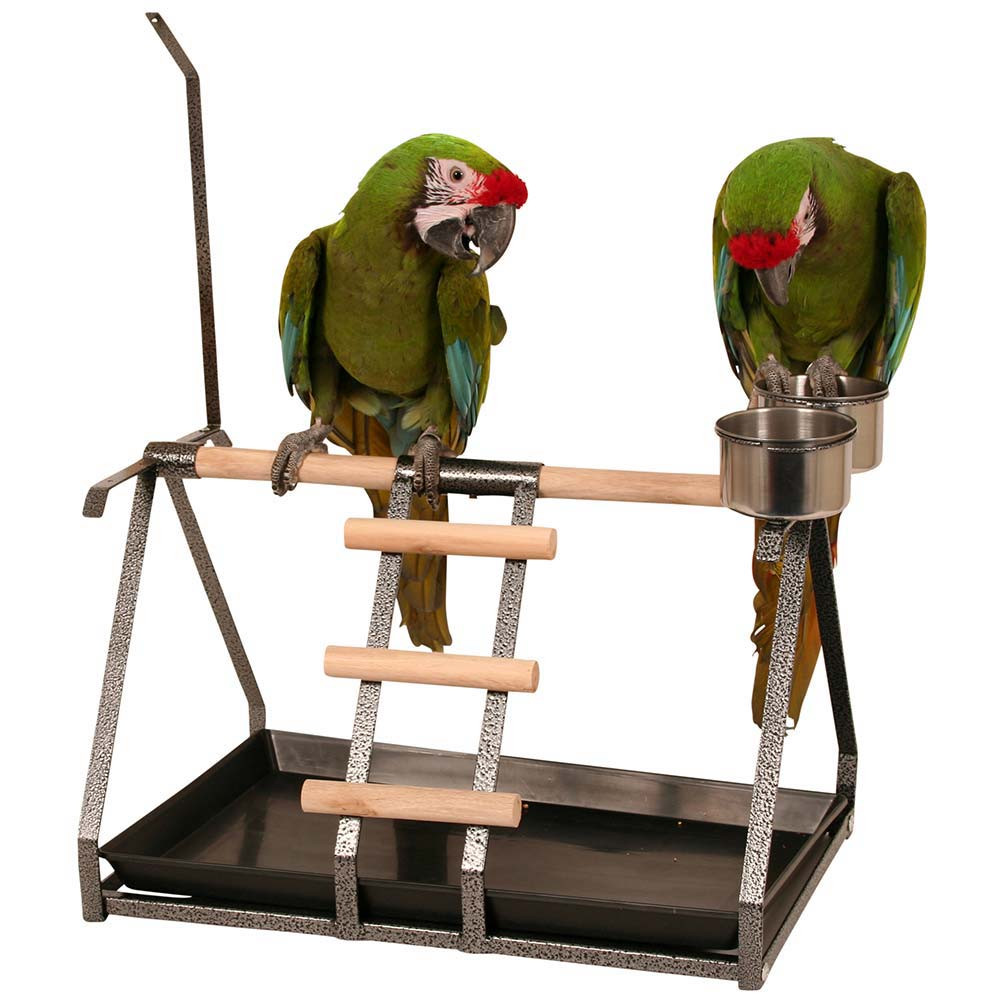 An image of Tabletop Parrot Stand with Toy Hanger & Feeder Stone
