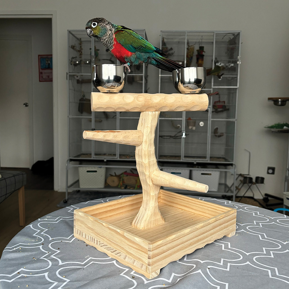 An image of Coffee Wood Table Top Parrot Stand Medium