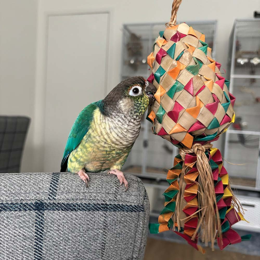 An image of Kiss Pinata Medium Natural Woven Palm Leaf Parrot Toy