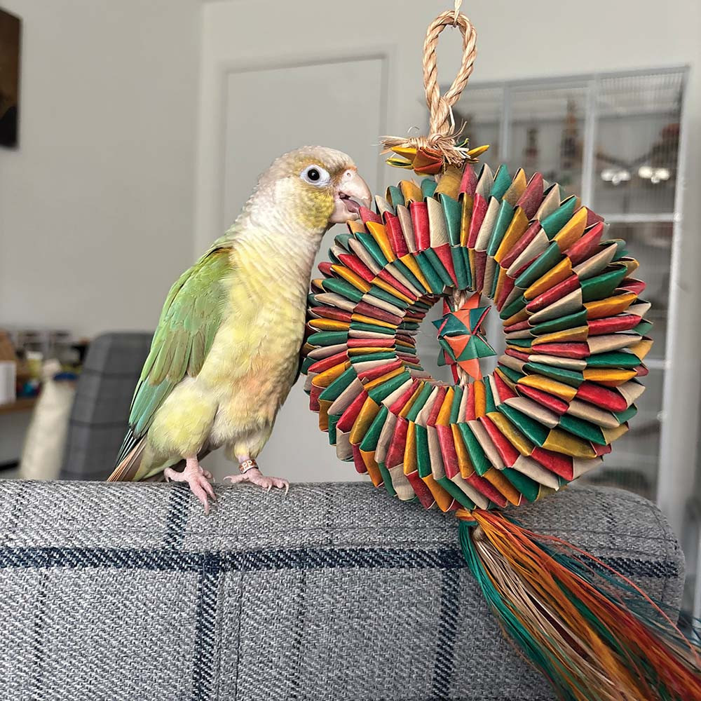 An image of Bird Tire With Star Medium Natural Woven Palm Leaf Parrot Toy