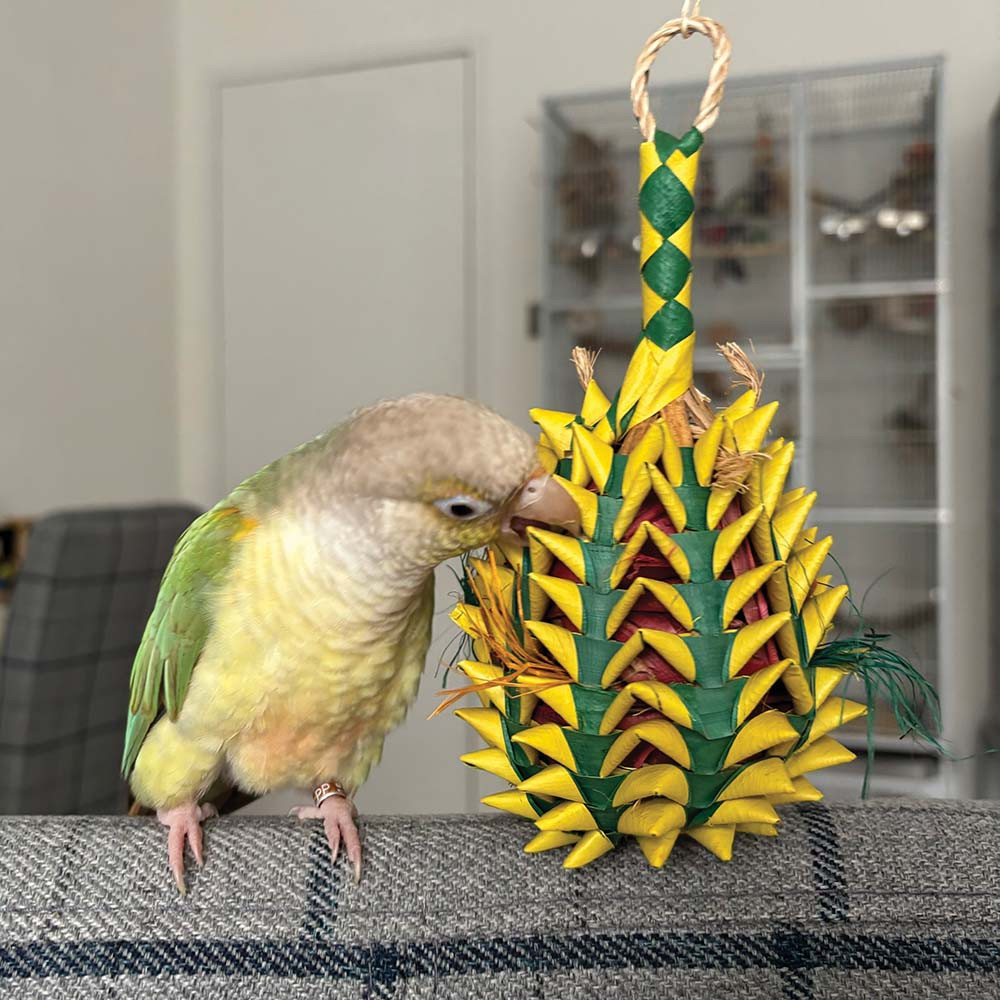 An image of Pineapple Pinata Medium Natural Woven Palm Leaf Parrot Toy